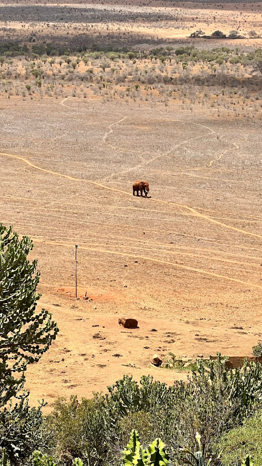 Tsavo West and Tsavo&nbsp;East